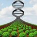 Biotech Ethics: Society’s New Debates